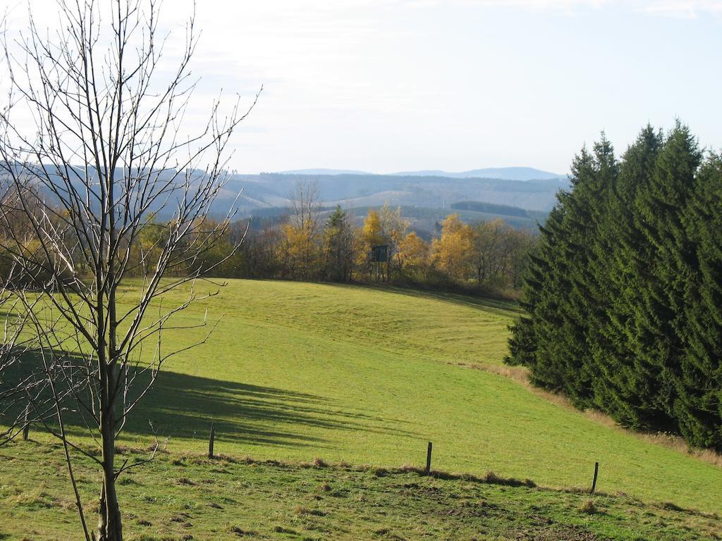 Landgasthof Gilsbach Hotel Winterberg Buitenkant foto