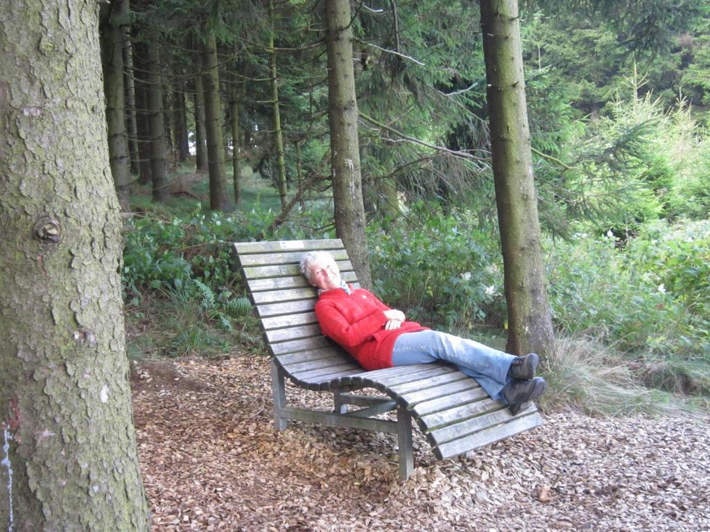 Landgasthof Gilsbach Hotel Winterberg Buitenkant foto