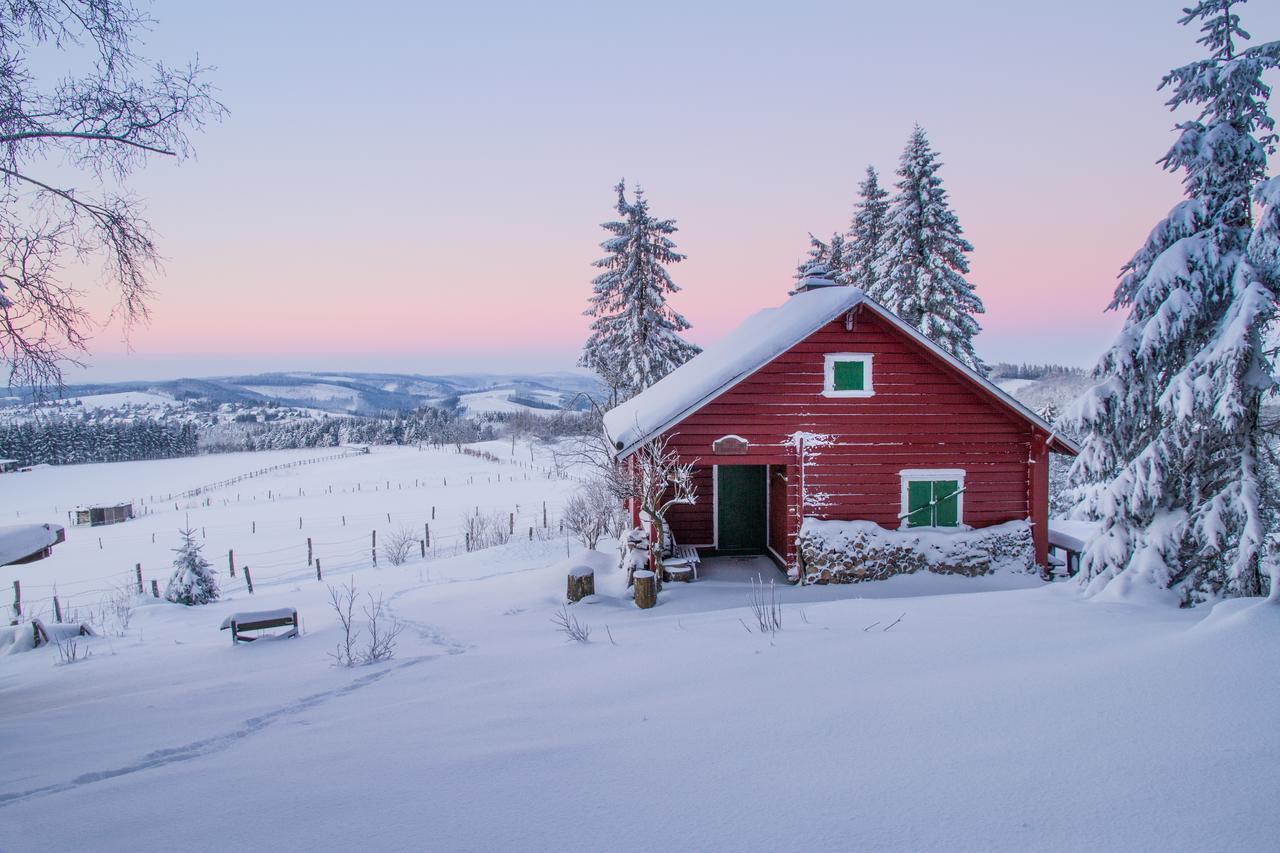 Landgasthof Gilsbach Hotel Winterberg Buitenkant foto