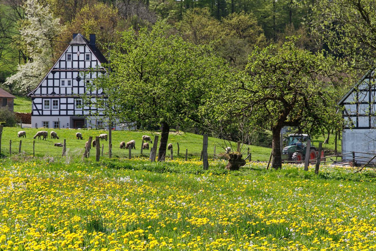 Landgasthof Gilsbach Hotel Winterberg Buitenkant foto