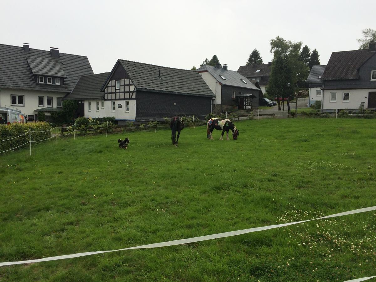 Landgasthof Gilsbach Hotel Winterberg Buitenkant foto